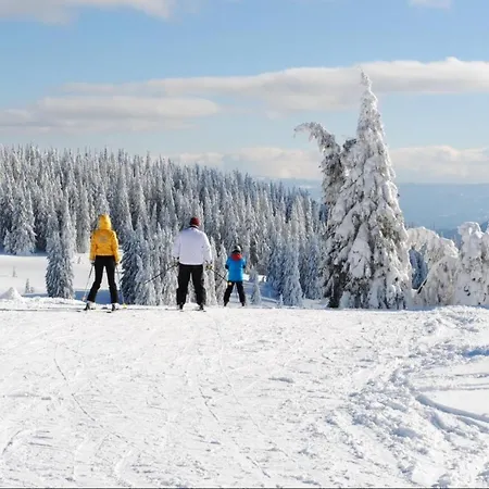 Apartament костадинов 1 Pamporovo