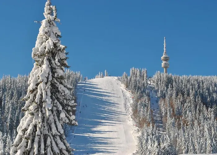 公寓 костадинов 1 潘波洛沃