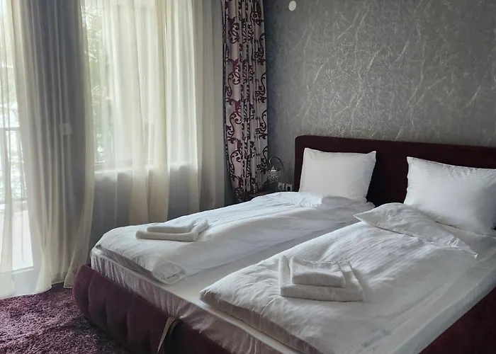 костадинов 1 * 潘波洛沃